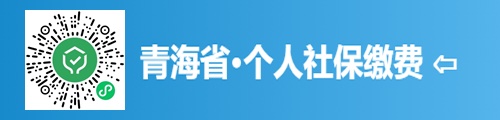青海省·个人社保缴费系统（微信版）