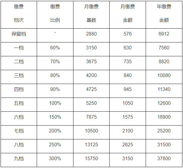 荆门社会保险最新动态一览