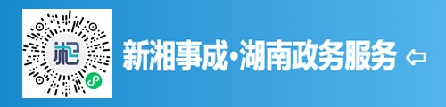 新湘事成·湖南政务服务平台