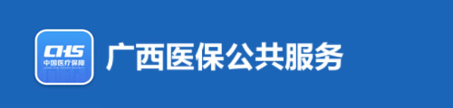 广西医保公共服务平台·网上服务大厅
