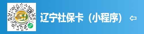 辽宁社保卡服务平台（小程序）