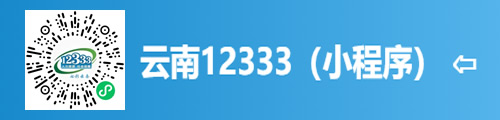 云南12333（微信小程序）