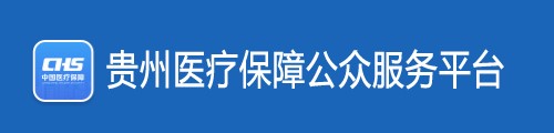 贵州医疗保障公众服务平台