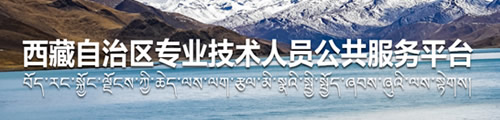 西藏自治区专业技术人员公共服务平台