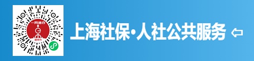 上海社保查询·人社公共服务平台