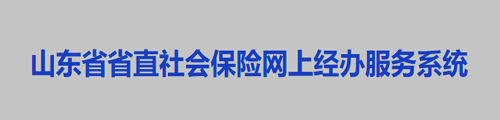 山东省省直社会保险网上经办服务系统